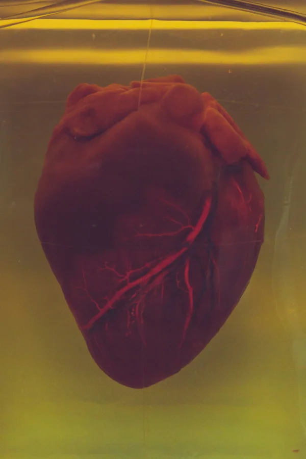 Ansiedad y corazón: por qué sientes que te va a dar un infarto