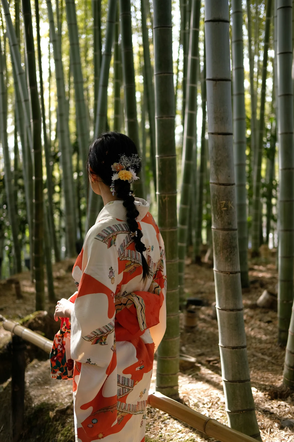 El cuento del bambú japonés